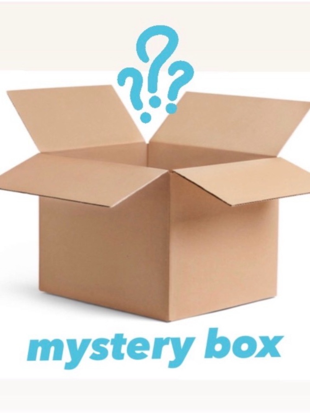Victoria's Secret Mystery Bra Box - Tan and Blue Graphic